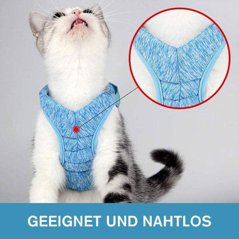 Close-up of Comfort-Fit cat harness showing adjustable straps and secure buckles for safe outdoor adventures.