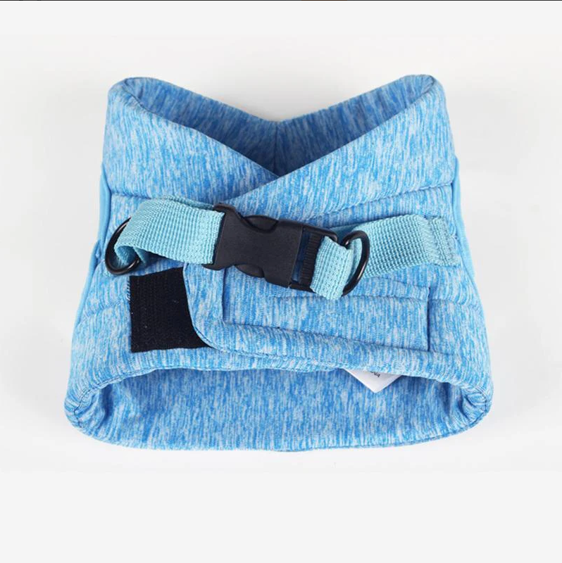 Display of a Comfort-Fit cat harness and matching leash, essential pet supplies for outdoor cat adventures.