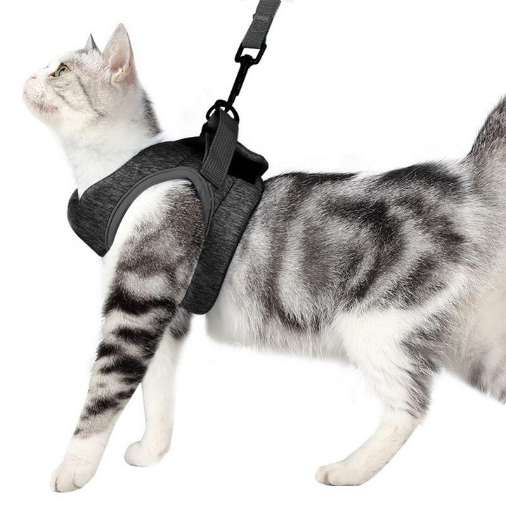 Durable pet harness and leash set for cats. Comfort-fit, escape-proof design for ultimate pet adventure safety.