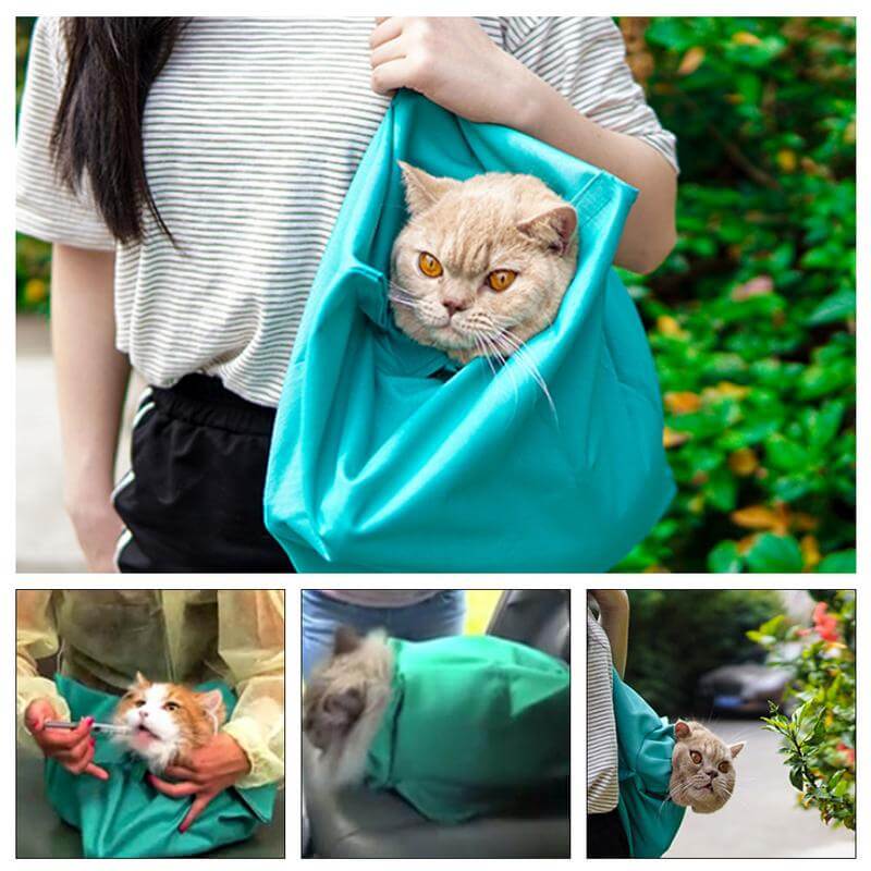 Spacious feline carrier bag, ideal for comfortable and safe cat travel.