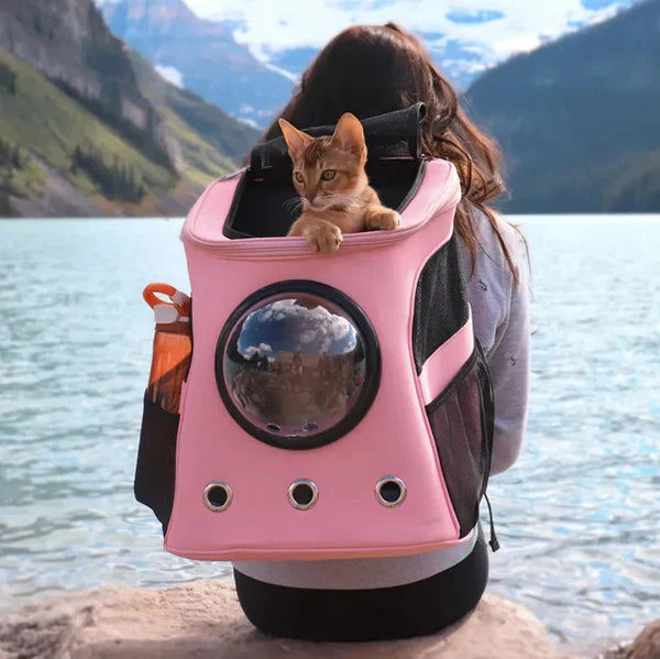 Comfortable & secure pet cat carrier backpack, ideal for safe travel and animal transport.