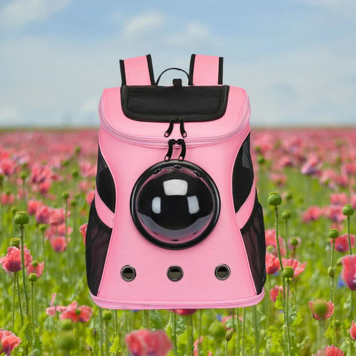 Portable pet cat backpack for outdoor adventures. Lightweight and safe travel bag for cats & small animals.