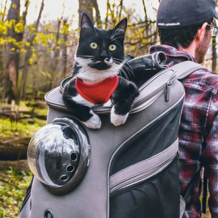 Modern cat travel backpack with clear bubble window, offering a secure & comfortable view for your pet.