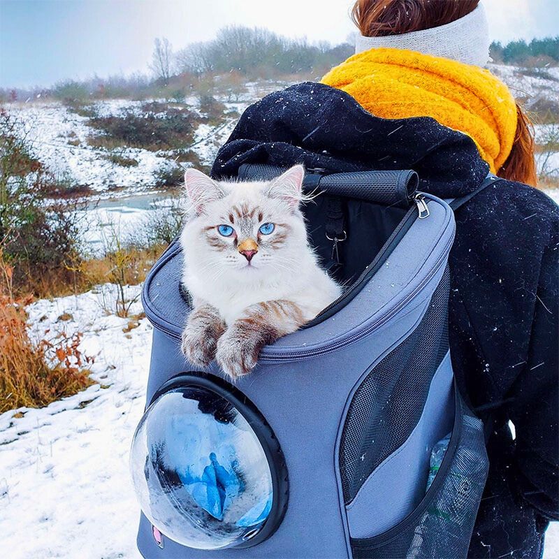 Durable pet travel bag and cat backpack, designed for easy animal transport & comfort on walks or trips.