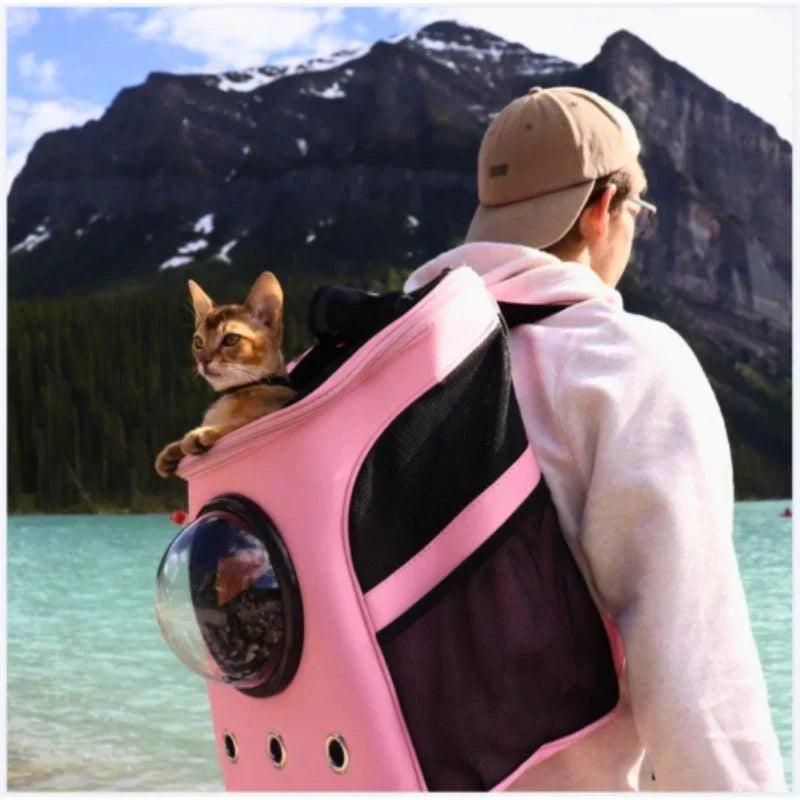 Hands-free pet cat carrier backpack, an essential pet accessory for comfortable & secure short or long travels.