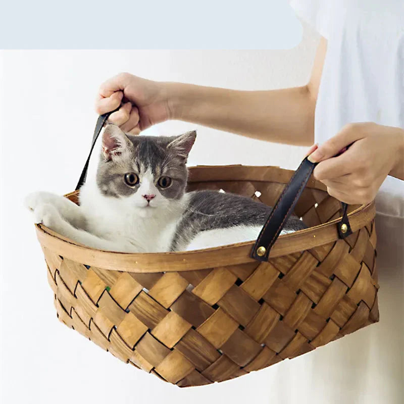 Monstera leaf pattern cat bed, a chic tropical pet floor cushion. This cozy cat accessory enhances any home decor.