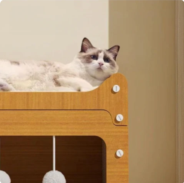 Detailed view of the cat house's spacious interior, offering a secure, cozy cat bed and play area.