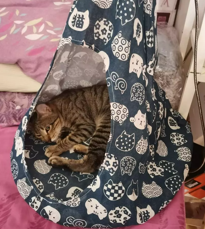 Modern cat tent hammock bed, offering a secure and cozy sleeping cave for ultimate pet comfort.
