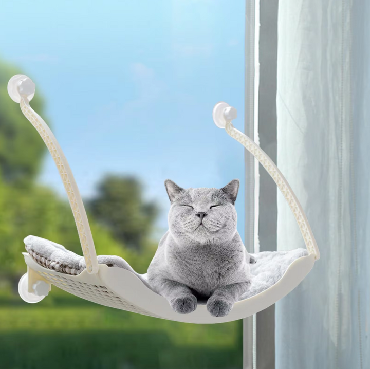 Elevated cat window hammock, a stable pet furniture solution for sunbathing and rest.