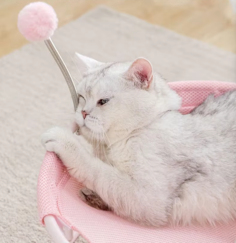 Durable round cat hammock in blue, a cozy cat lounger for a restful sleep.