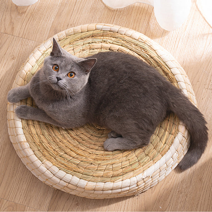 Cozy round cat nest bed, handmade from natural materials, a soft sanctuary for feline comfort and restful sleep.