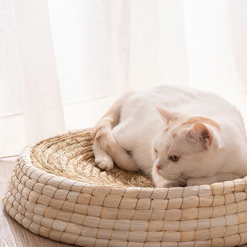 Soft natural pet nest bed, a cozy round sanctuary crafted from sustainable materials for your cat's ultimate comfort.