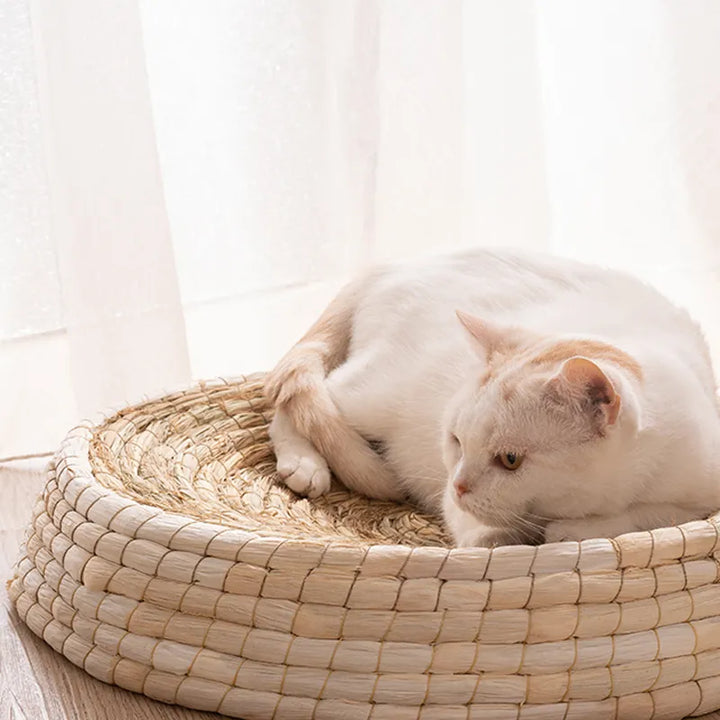 Soft natural pet nest bed, a cozy round sanctuary crafted from sustainable materials for your cat's ultimate comfort.