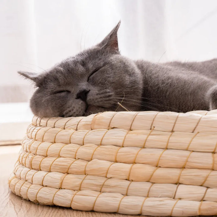 Durable natural material cat bed, a soft round pet nest designed for long-lasting feline comfort and a stylish home accent.