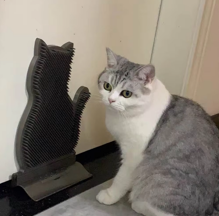 Stylish cat design silicone towel holder, a cute addition for bathroom decor and kitchen essentials.