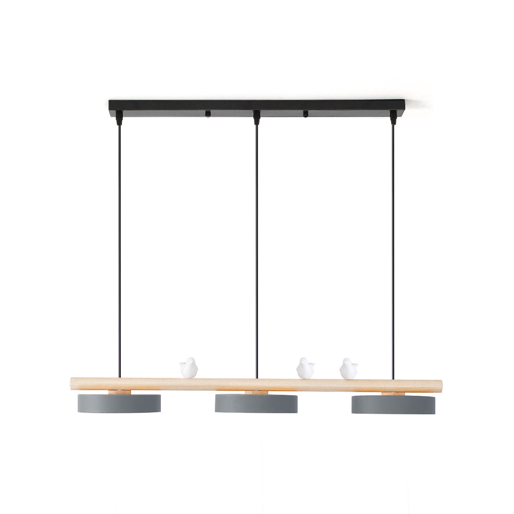 Unique bird pendant light with LED, perfect for modern home styling.