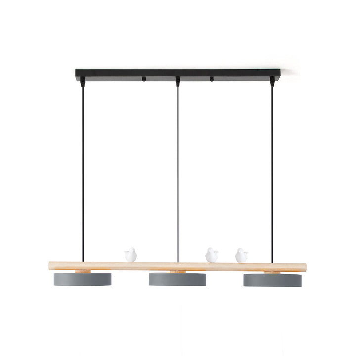 Unique bird pendant light with LED, perfect for modern home styling.