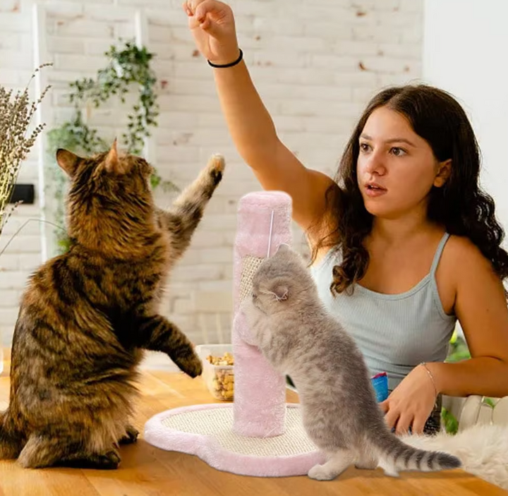 Decorative cat scratching post with sisal, heart & star design, & toy. Protects furniture, enriches feline play.