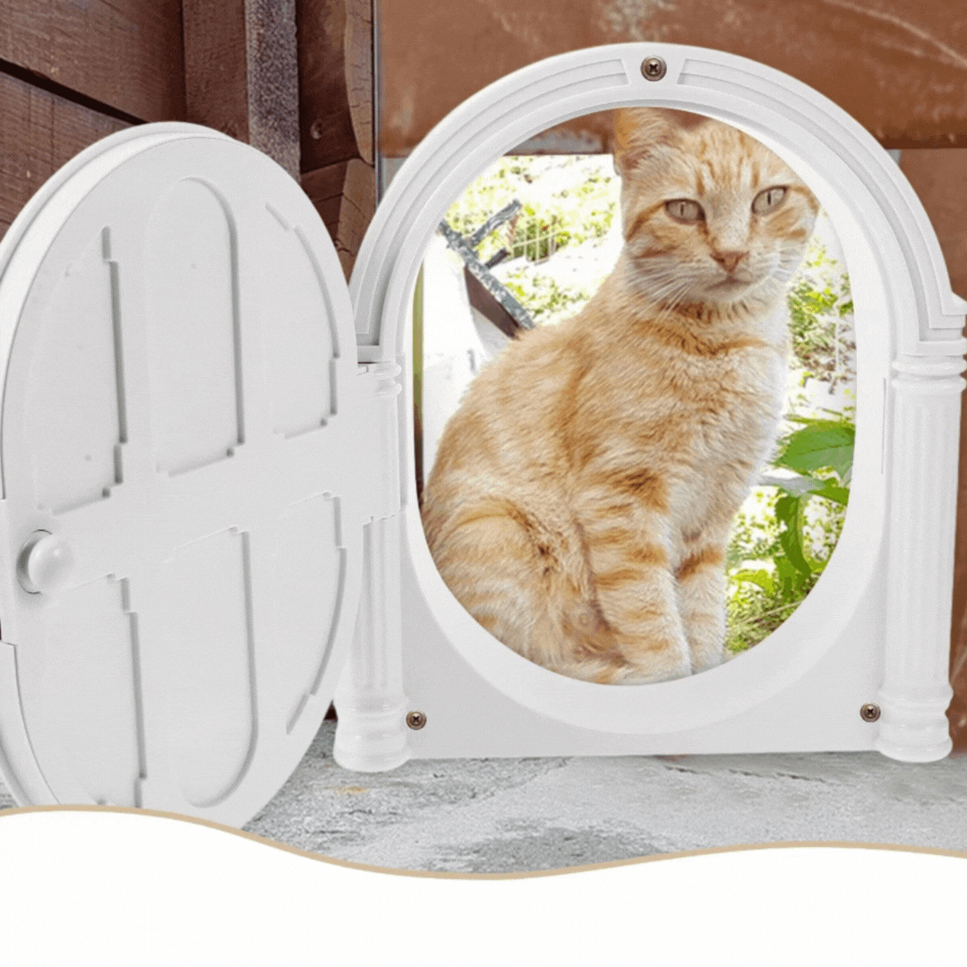 Decorative front door cat toy. Interactive pet enrichment accessory for feline fun and habitat decor.