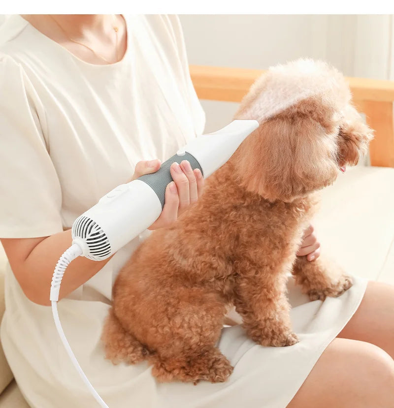 Dog 3-in-1 pet hair dryer and grooming brush for quick drying, detangling, and styling. Essential dog grooming tool.