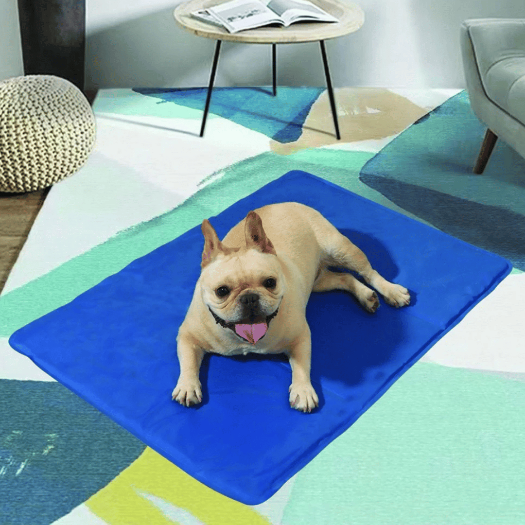 Water-resistant dog cooling mat with pressure-activated gel for ultimate pet comfort.