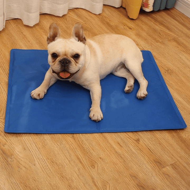 Cooling pad for dogs, a durable, water-resistant gel mat for summer pet comfort.
