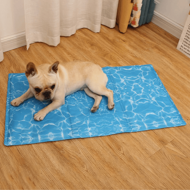 Pressure-activated dog cooling mat, perfect for a comfortable summer dog bed.