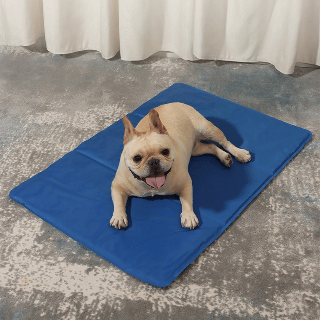 Gel pet pad for dogs. This cooling mat offers heat relief and is portable.