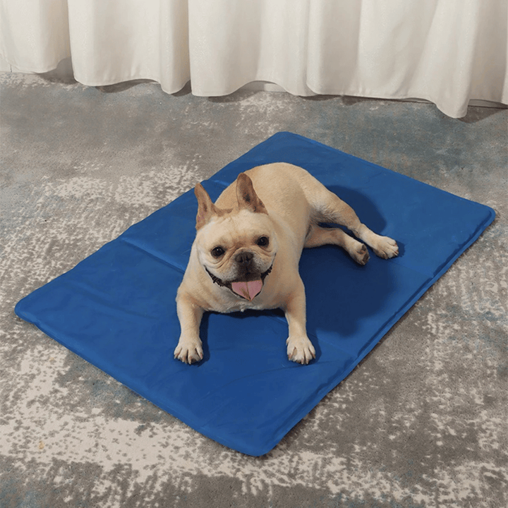 Gel pet pad for dogs. This cooling mat offers heat relief and is portable.
