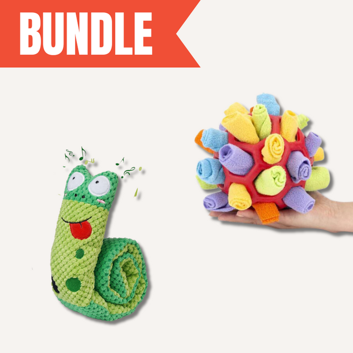 Dog enrichment toy set featuring a snuffle snake for interactive treat games and mental stimulation.