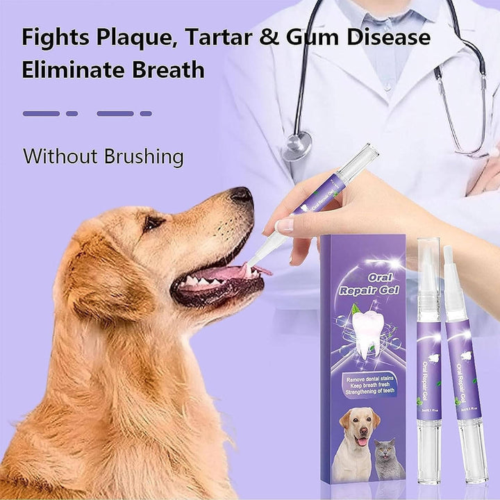 Applying dog teeth cleaning gel, a 3-pack for plaque, tartar control & gum health. Natural pet dental care.