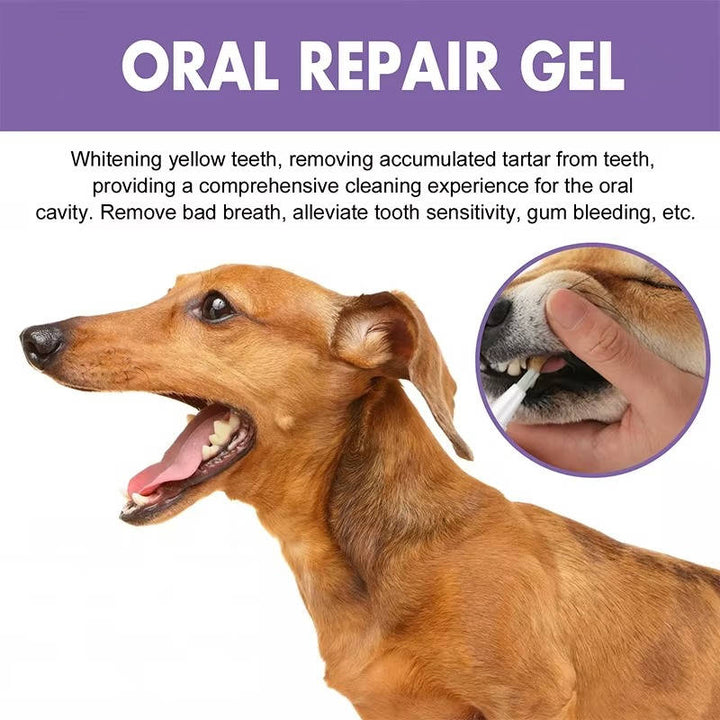 Three tubes of dog oral care gel, promoting healthy gums, fresh breath, and plaque removal for happy pets.