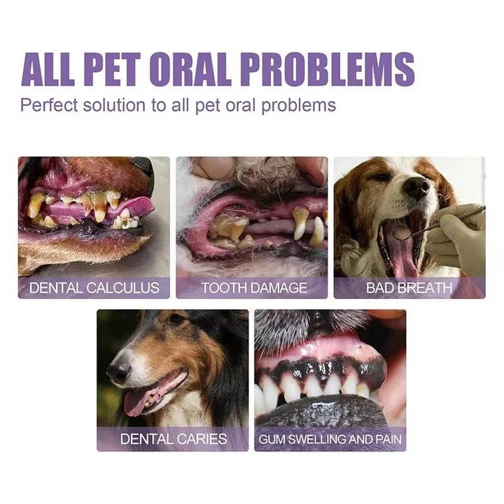 Pet oral hygiene gel 3-pack. Essential dog dental care for clean teeth, fresh breath, and gum protection.