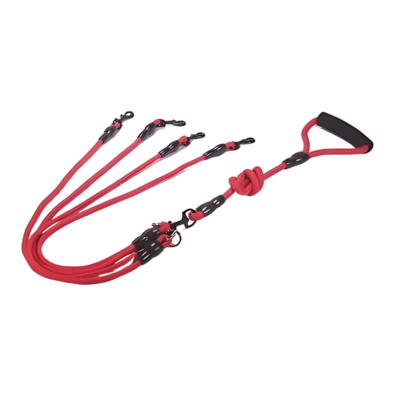 Easy control dual dog leash with ergonomic comfortable handle