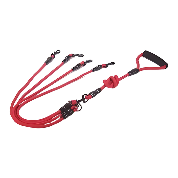 Easy control dual dog leash with ergonomic comfortable handle