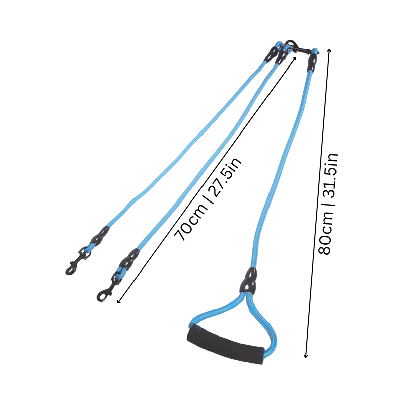Tangle-free two dog leash, perfect for comfortable dog walking