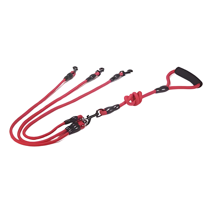 DuoGrip: the ultimate multi dog leash for pet owners