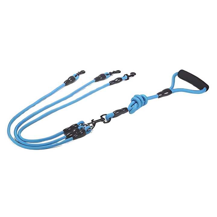 Secure and comfortable dual dog leash for everyday walks
