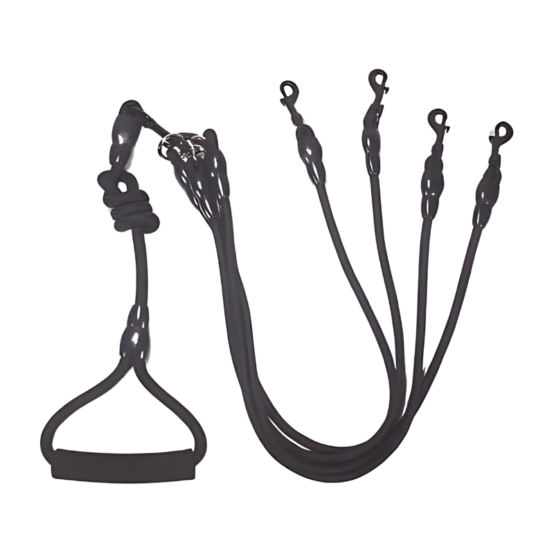 DuoGrip: a reliable two dog leash for safe dog walking