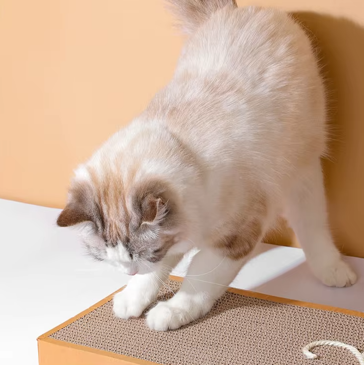 Durable corrugated cardboard cat scratching board for felines, protecting furniture & providing a play mat.