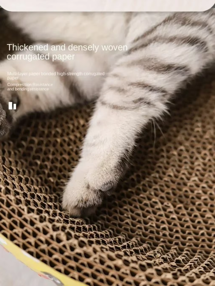 Corrugated cat scratcher for healthy claws and a comfy pet lounge bed for resting.