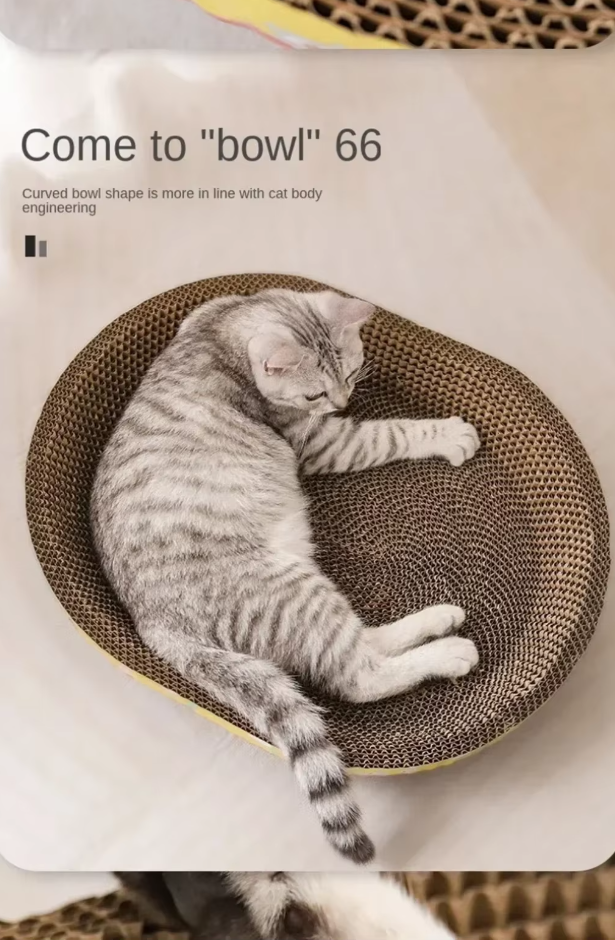 Premium durable corrugated cardboard cat scratcher and bed, essential feline comfort supplies.