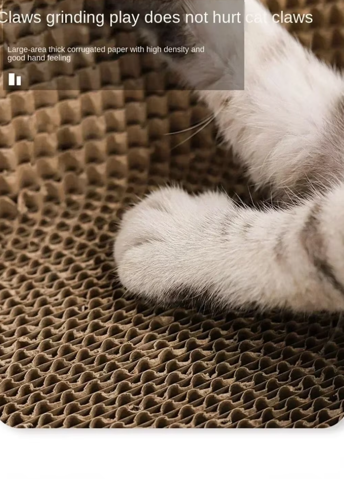 Engaging durable cardboard cat scratcher toy and cozy lounge bed, promoting feline well-being.