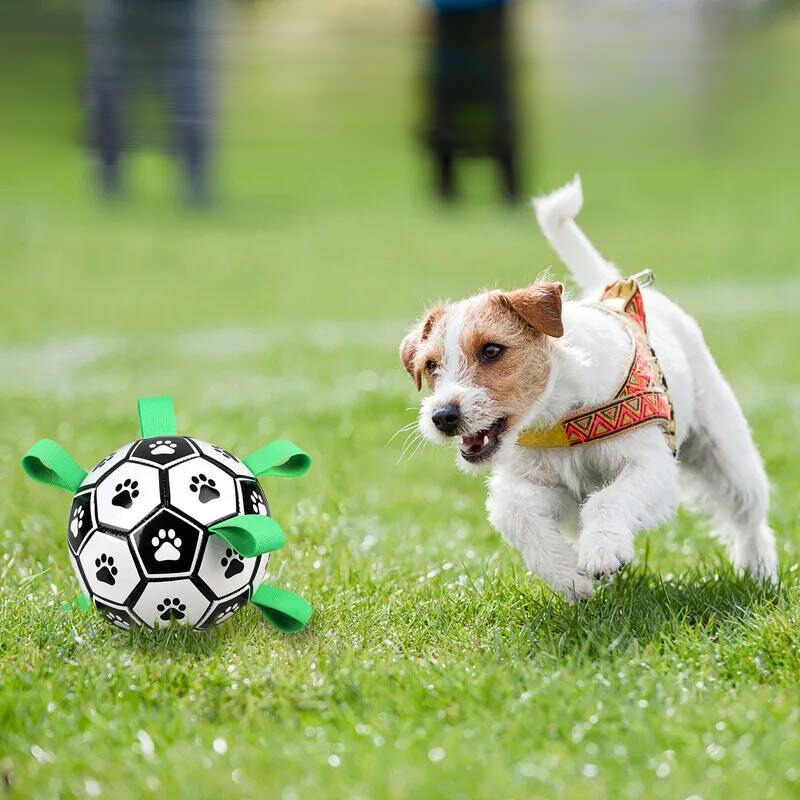 Durable dog soccer ball, ideal for fetch and water play, an interactive and engaging outdoor dog toy.