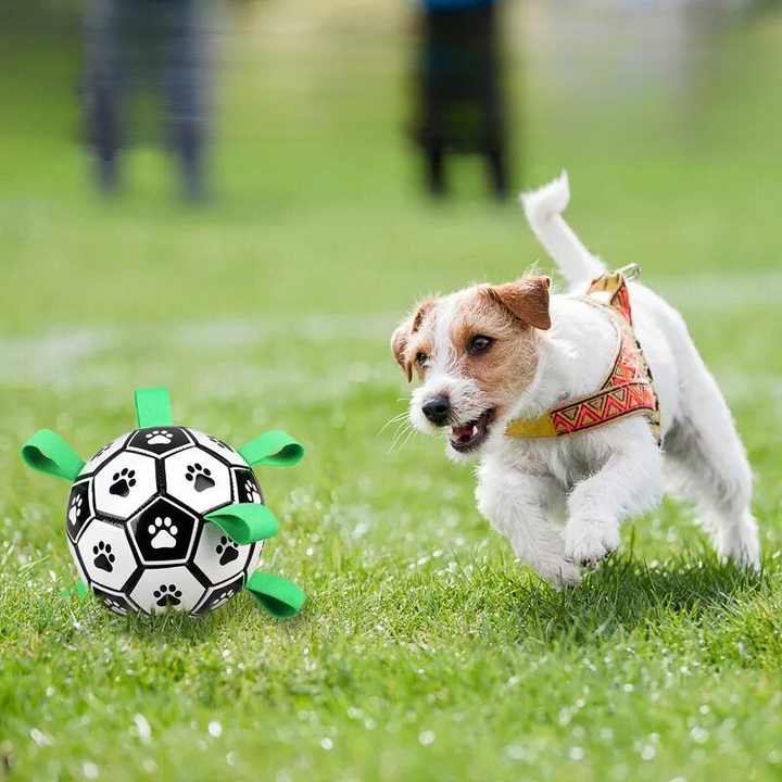 Durable dog soccer ball, ideal for fetch and water play, an interactive and engaging outdoor dog toy.