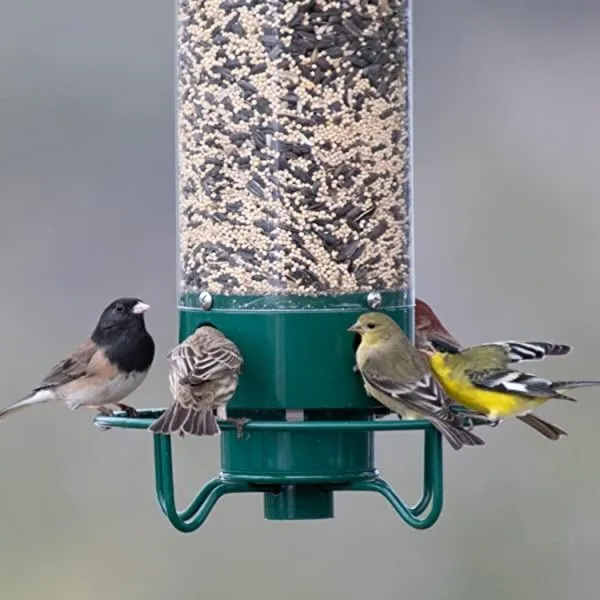 Durable squirrel-proof bird feeder designed for backyard birds, attracting cardinals and other wildlife. Perfect for garden decor and bird watching enthusiasts.
