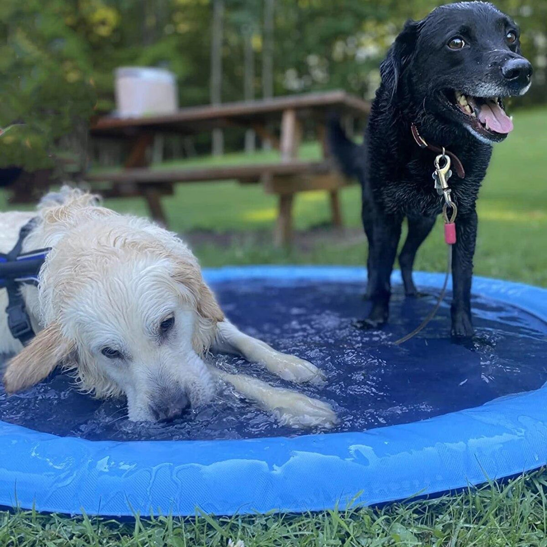 Interactive dog fountain toy, perfect for summer outdoor water play & cooling. Durable pet supplies.