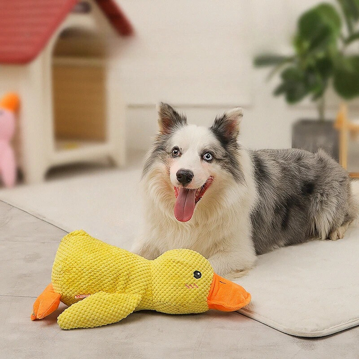 Durable yellow duck dog chew toy, perfect for aggressive chewers and dental health.