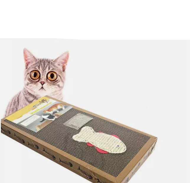 Durable cardboard cat scratching mat & interactive fish toy. Eco-friendly pet supplies for feline care & playtime.