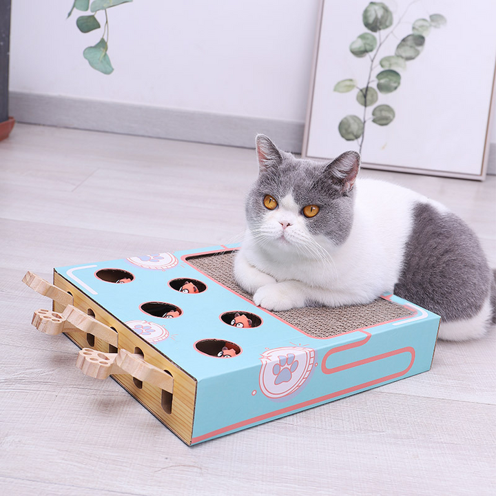 Eco-friendly corrugated paper cat playground with scratching post and interactive toy features.